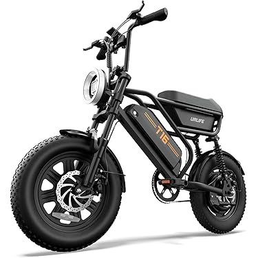 electric bicycle tricycle Electric Fat Trike