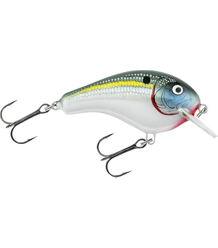 Amazon.com : Bagley Bang O Lure Genuine Balsa Wood Classic