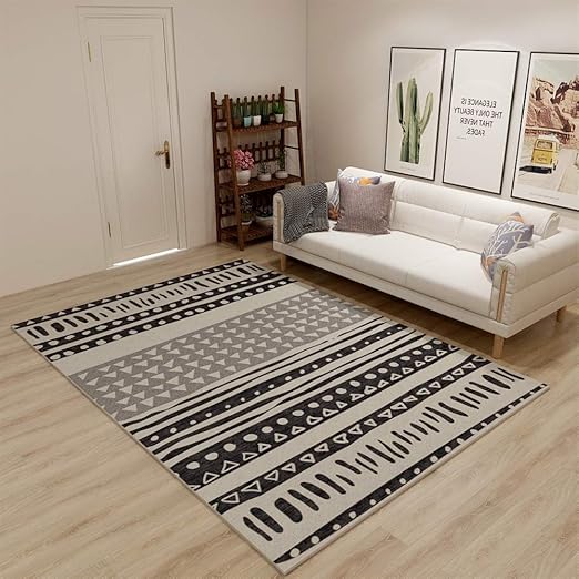 Liveinu Tapis Moderne Tapis Déco Lavable Moquettes de Poils Courts