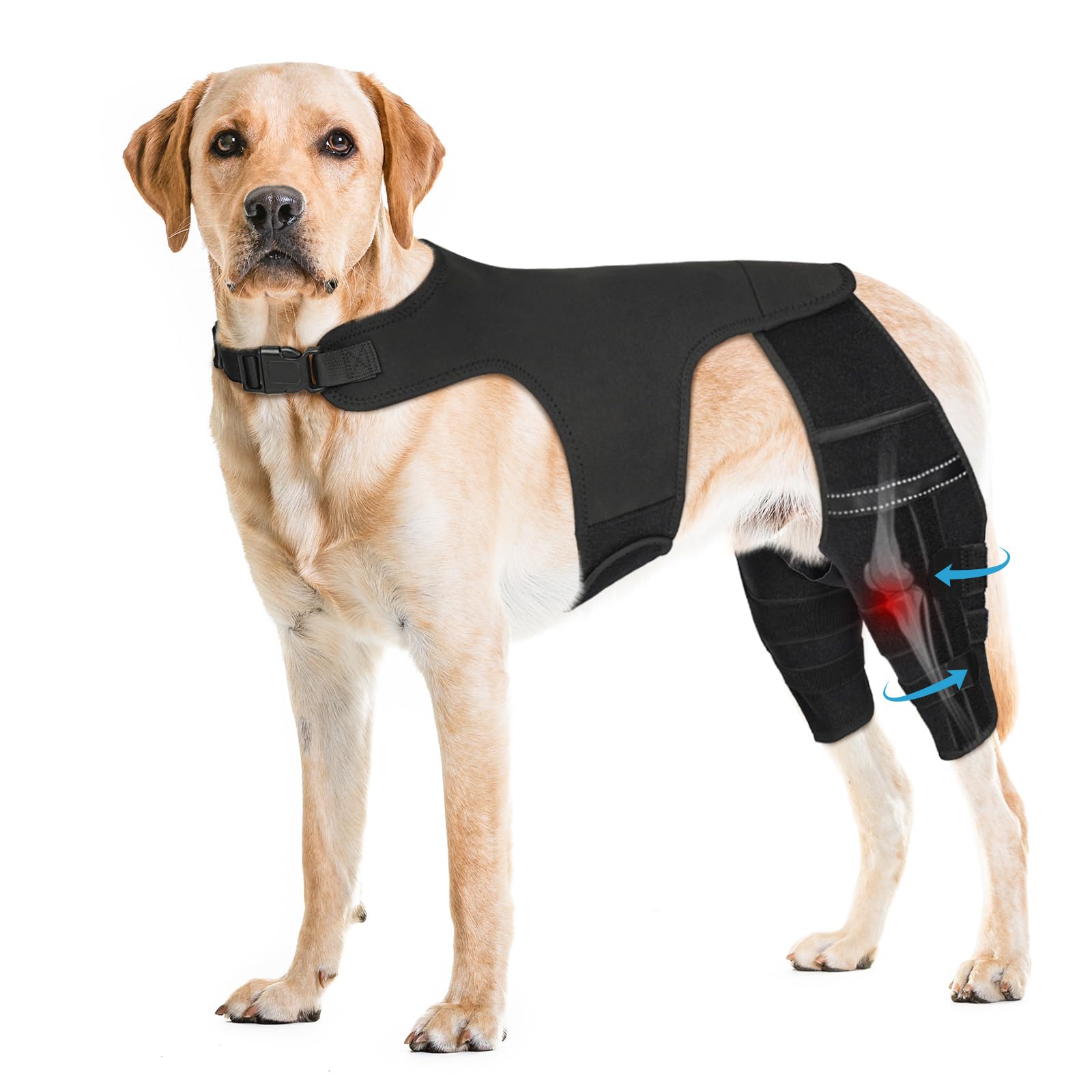 Photo 1 of Pawfun Dog Knee Brace for Torn ACL Hind Leg, Adjustable Dog Leg Braces for Back Leg with 4 Metal Stabilizers Helps with Torn CCL, Luxating Patella, Ligament Injuries, Hip Dysplasia,XXL
