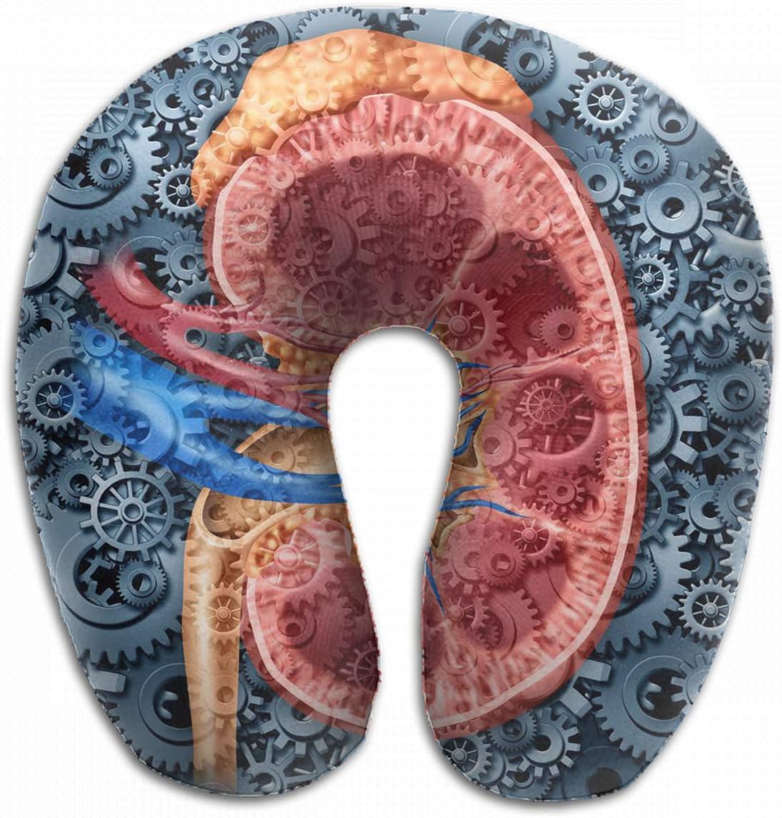 Emvency U-Shaped Travel Neck Support Pillow Human Kidney Function Medical Cross Airplane 12x11.5 Inch Soft U-Pillows with Rebound Material for Kids Adults