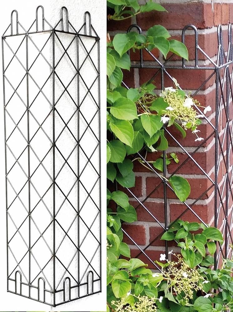 Corner Wall Trellis 121 x 30 x 30 cm Amazon.co.uk Garden & Outdoors