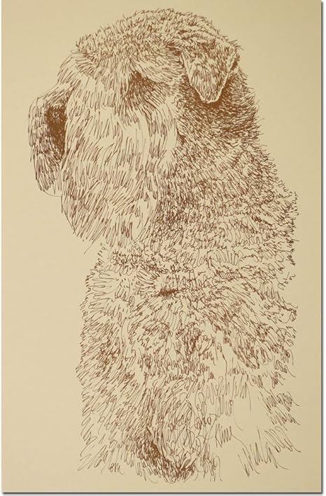 Amazon Com Stephen Kline Soft Coated Wheaten Terrier Lithograph Lithographic Prints Pet Supplies
