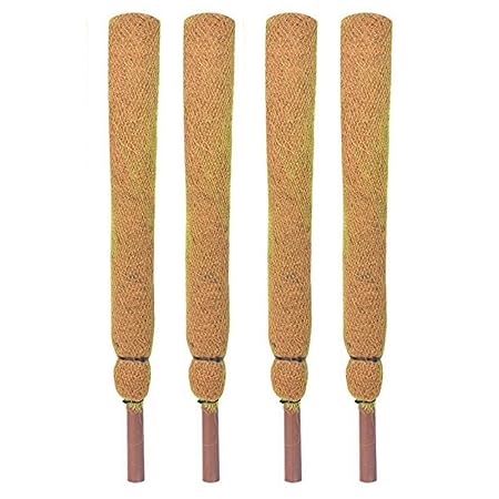Sparkenzy 1 Feet Coir Moss Stick/Coco Pole for Climbing Plants (Set of 4)