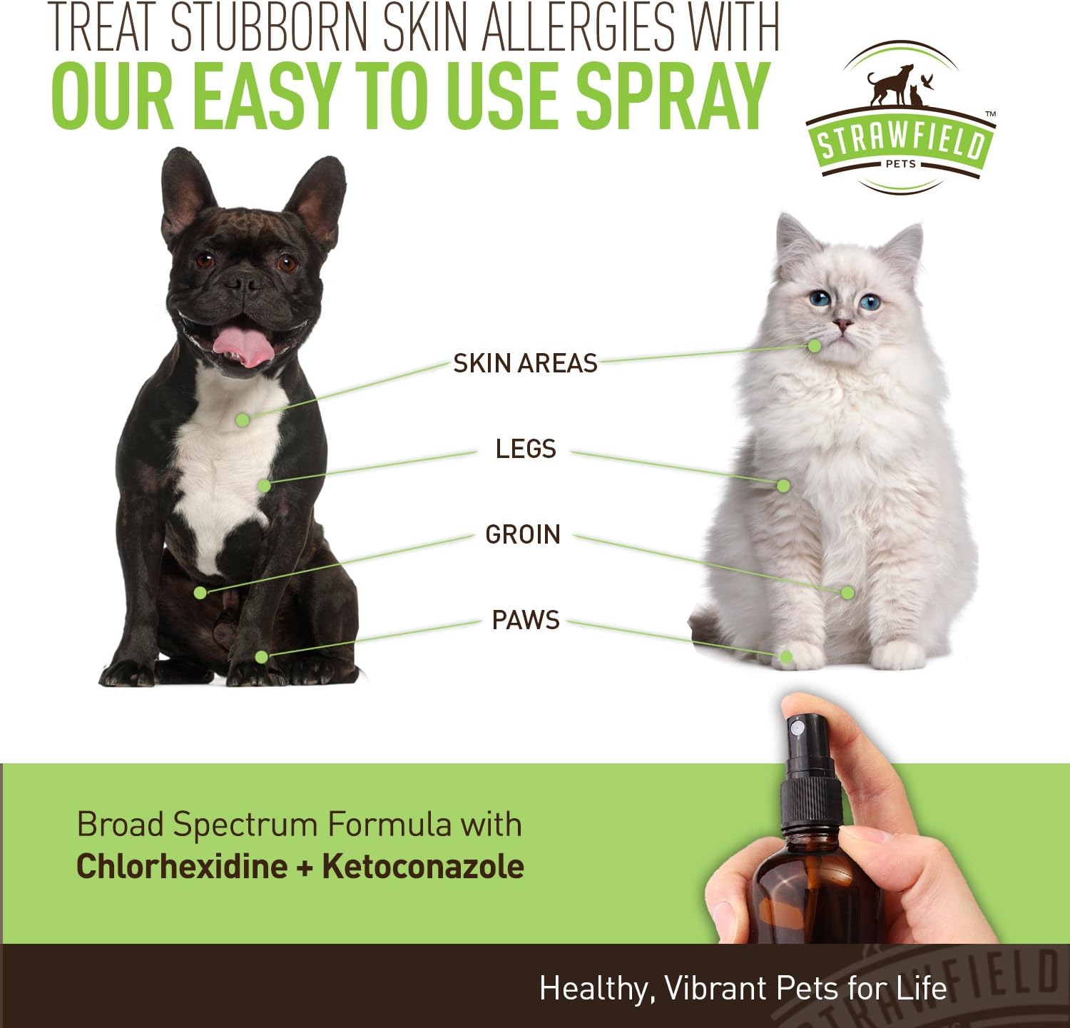 Chlorhexidine Spray for Dogs, Cats - Ketoconazole, Aloe - 8 oz - Cat, Dog Hot Spot Treatment, Mange, Ringworm, Yeast Infection, Itching Skin Relief, Allergy Itch, Acne, Antibacterial Antifungal, USA : Pet Supplies
