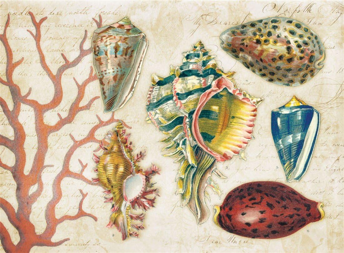 Best hardback placemats for dining table