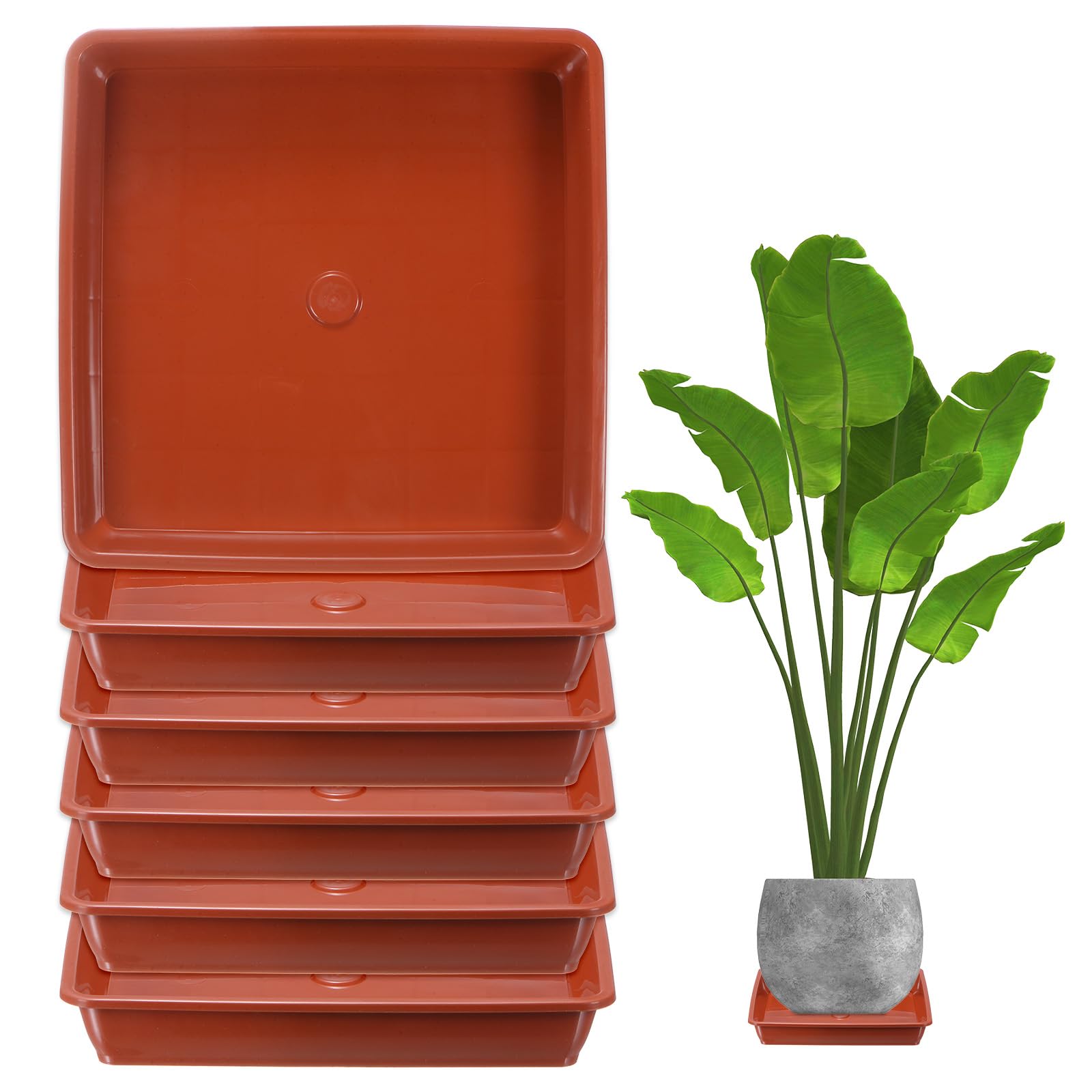 M METERXITY 6-Pack Plant Pot Saucers, 6 Inch 15cm Plastic Square Flower Drip Tray, Pot No Holes Durable Plant Trays for Pots Base Indoors/Outdoors Plants [Brick Red]