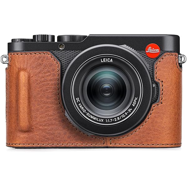 Amazon.com : BMAOLLONGB D-Lux 8 Camera Case, Handmade