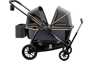 Pamo Babe Double Stroller Tandem Stroller for 2 Kids Push Pull Kids Wagon Adjustable Handle Waterproof and Sunproof Canopies Large Removable Storage Baskets