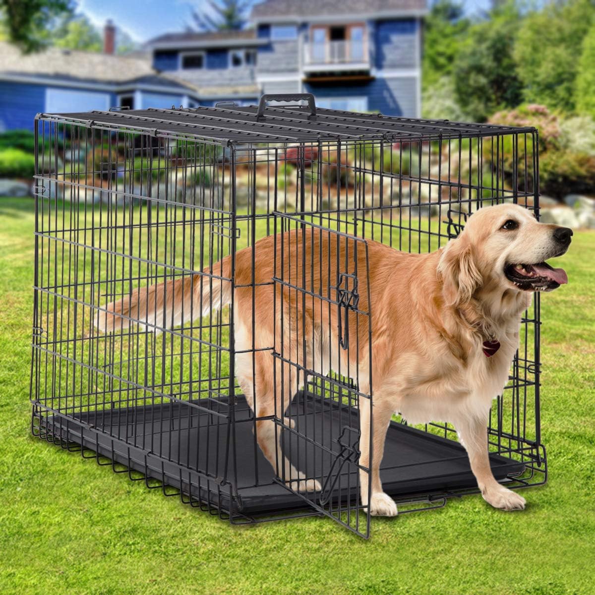 Large Dog Crate Kennel 48 Inch Metal Wire Dog Crate