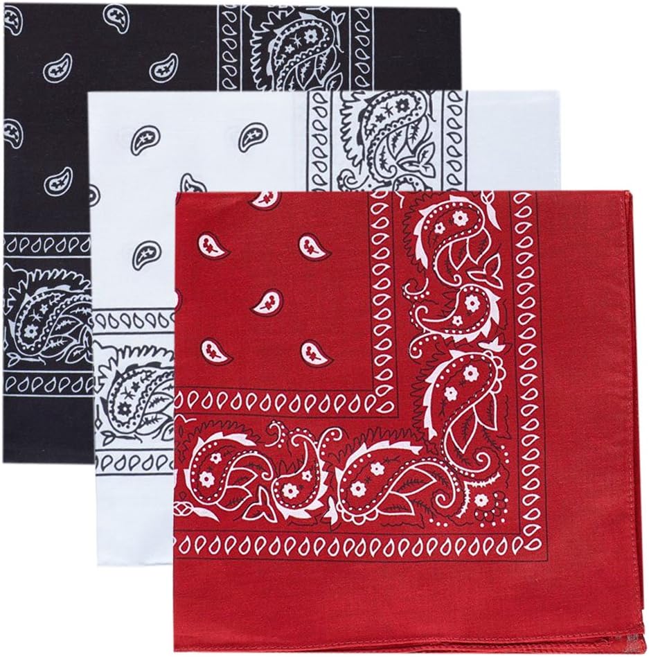 3Colors of Paisley Print Cotton Bandanas Pack- 22 Inch