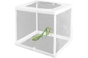 2Pcs Praying Mantis Habitat, 6.3x5.9x5.5 Praying Mantis Egg Case, Incubator for Tarantulas, Spiders, Snails, Crickets and Ant