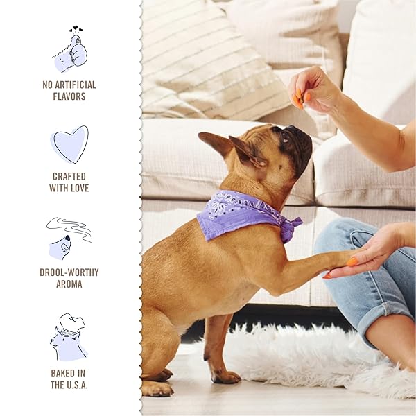 THREE DOG BAKERY SUPER REWARDS TRAINING TREATS FOR DOGS, LOW-CALORIE 4-CALORIE DOG TREATS WITH REAL SUPERFOODS ORCHARD APPLE PIE FLAVOR, 8 OZ RESEALABLE POUCH