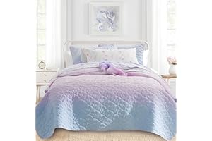 DREAMCLOUD HOME SCHNAUZER HOME Quilt Set Twin Size 2 Piece, Bailey Printed Bedding Coverlet Set, Lightweight Soft Reversible Bedspread Sets for All Season (1 Quilt & 1 Pillow Shams)