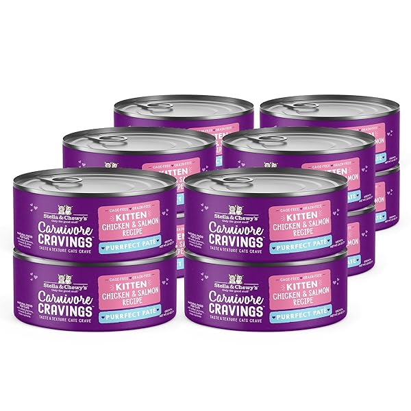 STELLA & CHEWY’S CARNIVORE CRAVINGS PURRFECT PATÉ – PREMIUM GRAIN-FREE WET KITTEN FOOD – CHICKEN & SALMON RECIPE – HIGH PROTEIN WITH BONE BROTH – PERFECT FOR PICKY KITTENS – 2.8OZ CANS (12 PACK)