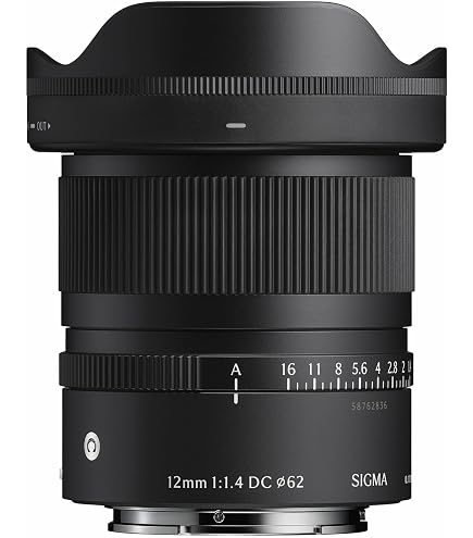 Amazon.com : 16mm F1.4 DC DN for RF Mount : Electronics