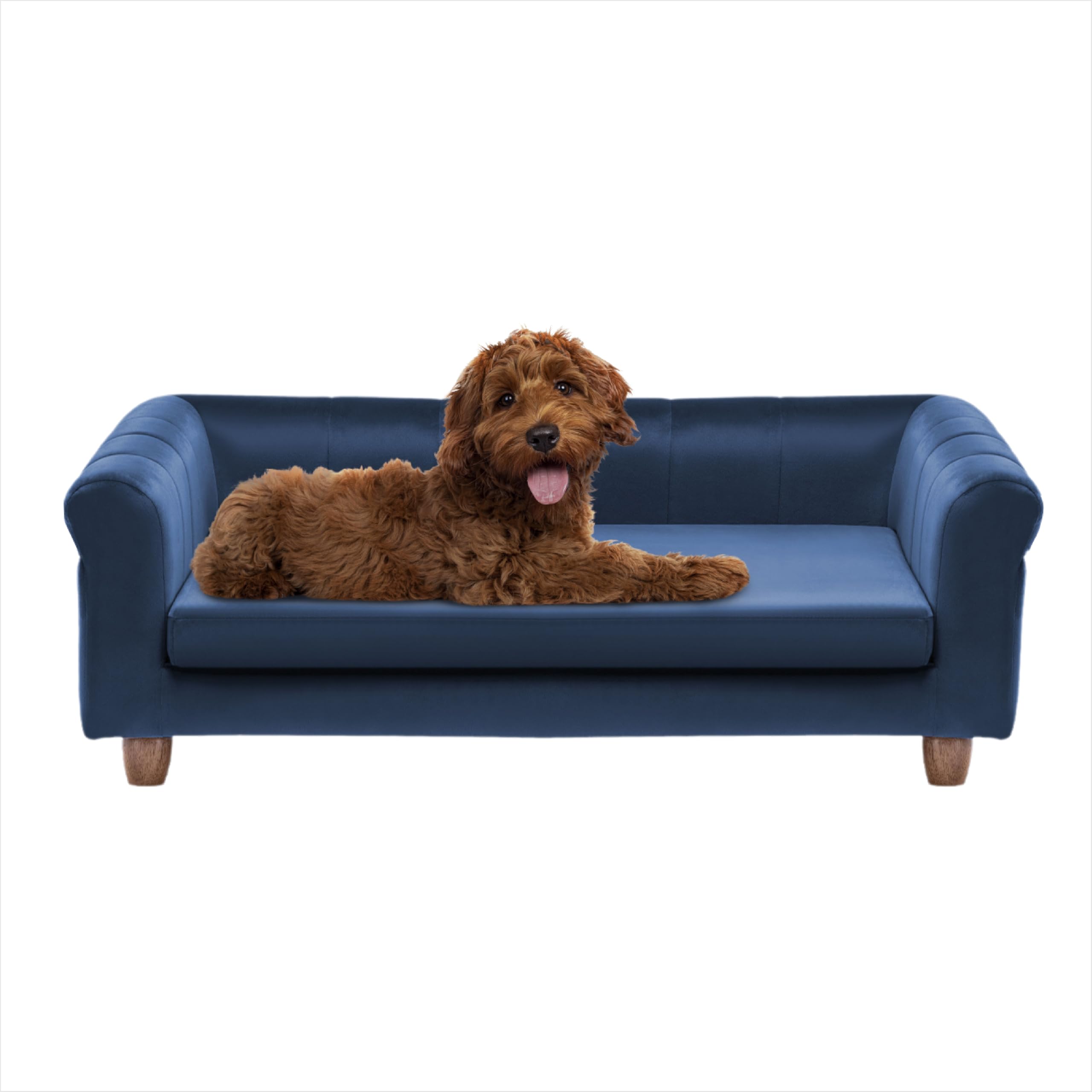 Critter Sitters 42-In. Elegant Navy Faux-Velvet Rectangular Dog Sofa ...