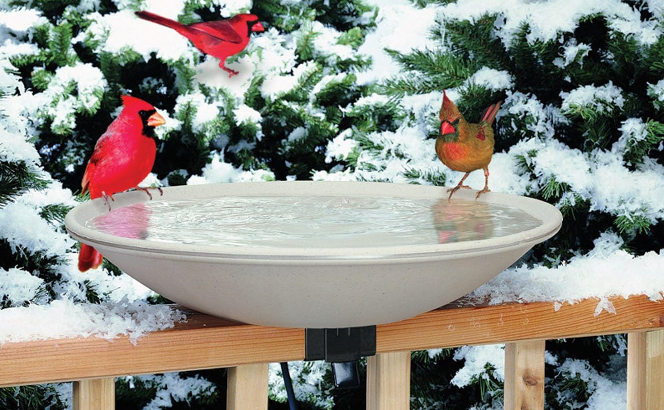 Amazon Com Allied Precision 650 20 150 Watt Heated Bird Bath