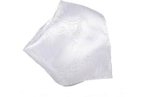 Vesuvio Napoli PAISLEY Design Men's Hankerchief Pocket Square Mens Hanky Hankie