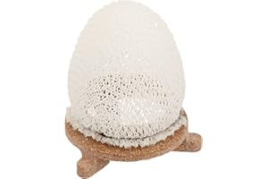 AMERICAN MANTLE AUERLICHT Preformed Hard Inverted Mantle #2/179B Ring for Outdoor Gas Lights (SKU 7998680)