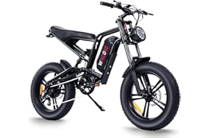 Windone S14/S16 Folding Electric Bike for Adult, 500W/750W Peak Motor, 19MPH/22MPH Top Speed, 36V 7.8Ah/48V 13Ah Removable Ba