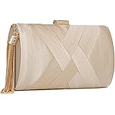 Wytidian Clutch Purses for Women Formal Evening Clutch Purse Shoulder Cross Body Bags for Wedding Party Handbag with Tassel