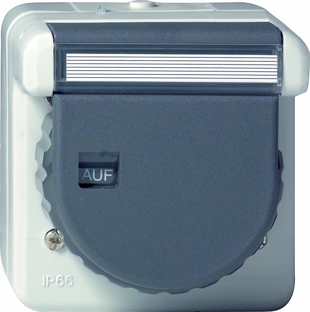 GIRA 044031 SCHUKO socket-outlet BSF Bajonett WD Aufputz Grau