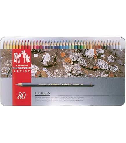 Amazon.com : Caran d'Ache Pablo Colored Pencil Set Of 120 Metal