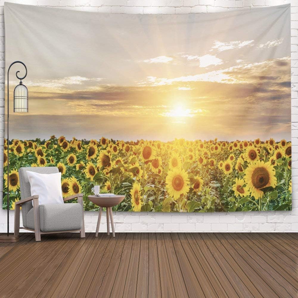 Amazon.com: ROOLAYS Hang Wall Tapestry,Hanging Wall Tapestry, Home Art Décor Beautiful ...