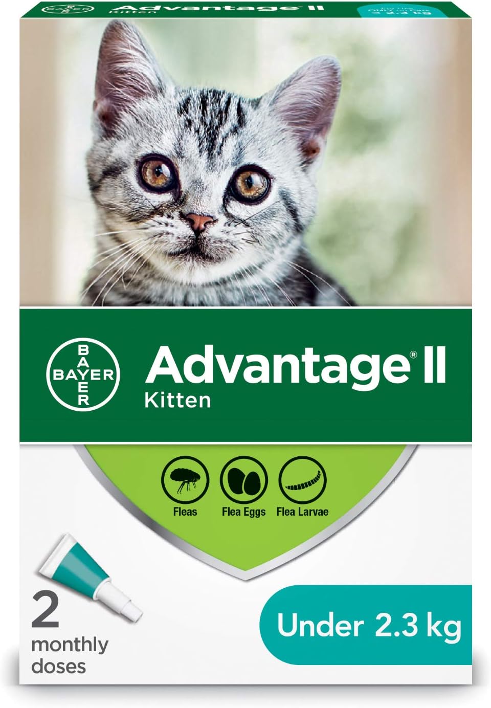 advantix for kittens