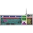 Fiodio Mechanical Gaming Keyboard, Wired RGB Rainbow Backlit Keyboard with Blue Switches, Ergonomic Standard Keyboard for Des