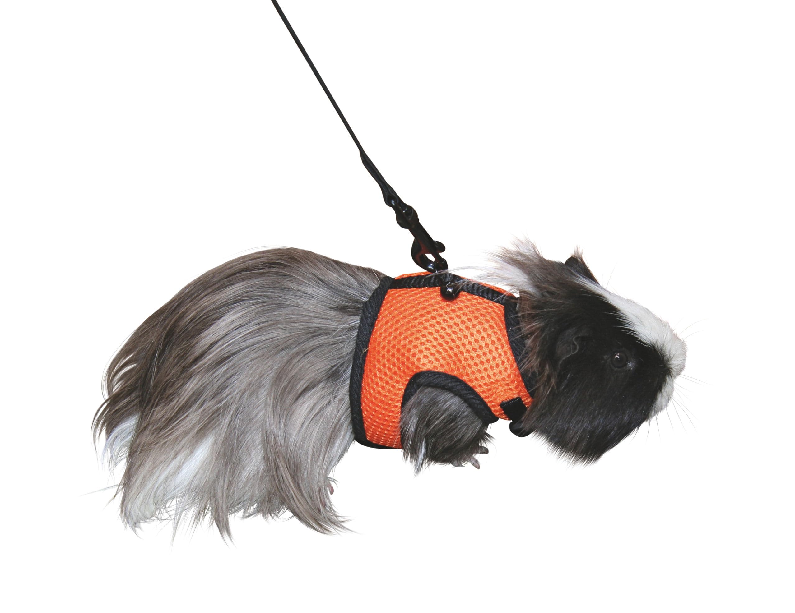 Kerbl Rodent Harness Sport includes Flexible Lead, 120 cm/ 14 - 18 cm Neck Circumference