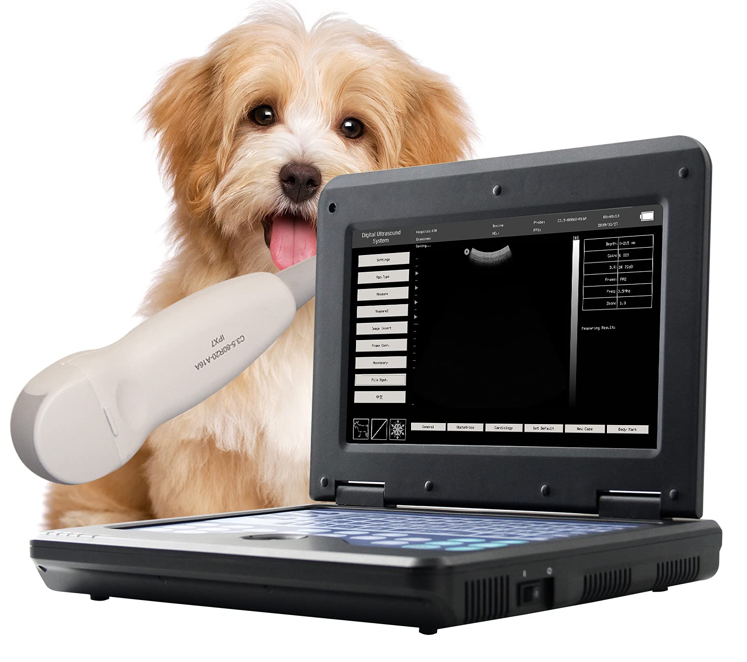 Mua CONTEC Veterinary Ultrasound Scanner for Pregnancy Check On Small ...