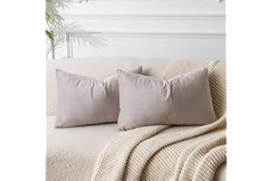 JUSPURBET Champagne Lumbar Velvet Throw Pillow Covers 40x60 CM Set of 2 for Living Room Couch Sofa Bedroom Decorative Rectang