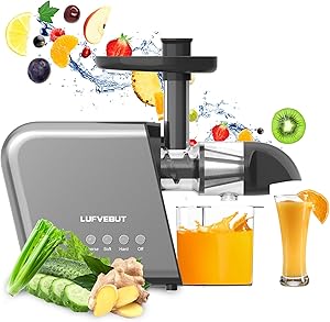 Cold Press Juicer Extractor Fruit Vegetable Masticating Juicer Electric Juicer Machines Easy Cleaning Low Speed Quiet Motor for Orange Carrot Celery Wheatgrass Ginger Tomato Leafy Greens Home Kitchen