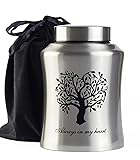 P.J homsv Urn for Ashes for Women Men Large