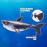 Robo Alive Water Activated Shark 2 Pack Grey by ZURU Realistic Swimming Toy view 2