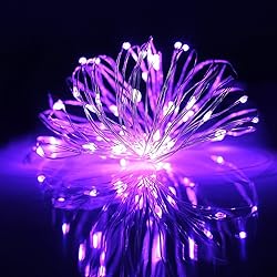 ER CHEN 66ft Led String Lights, 200 Led Fairy