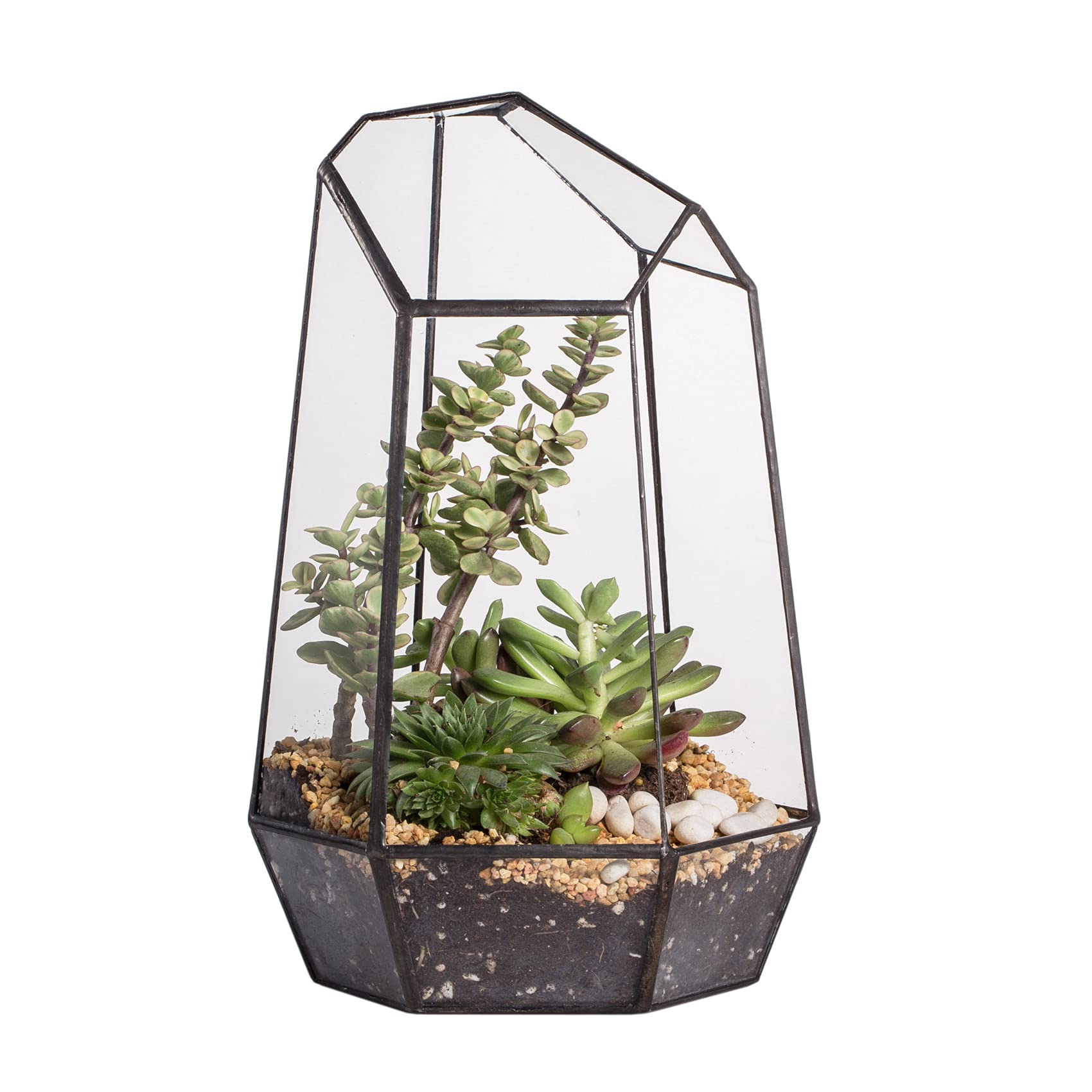 NCYP Opened Geometric Glass Terrarium for Succulent, Air Plants - 16.5 x 14.5 x 25 CM Irregular Glass Planter Pot - Indoor Garden Tabletop Decor, Black (No Plants, No Door)
