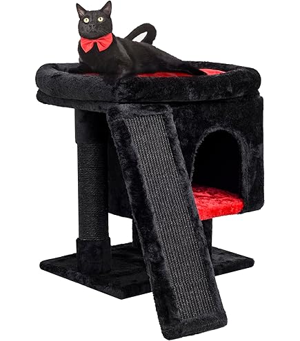 Cave Cat Bed Gothic Cat Bed Indoor Cats Pets Foldable Cat
