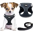YIMEIS Dog Harness and Leash Set, No Pull Soft Mesh Pet Harness, Reflective Adjustable Puppy Vest for Small Medium Large Dogs, Cats (Navy, Small (Pack of 1)