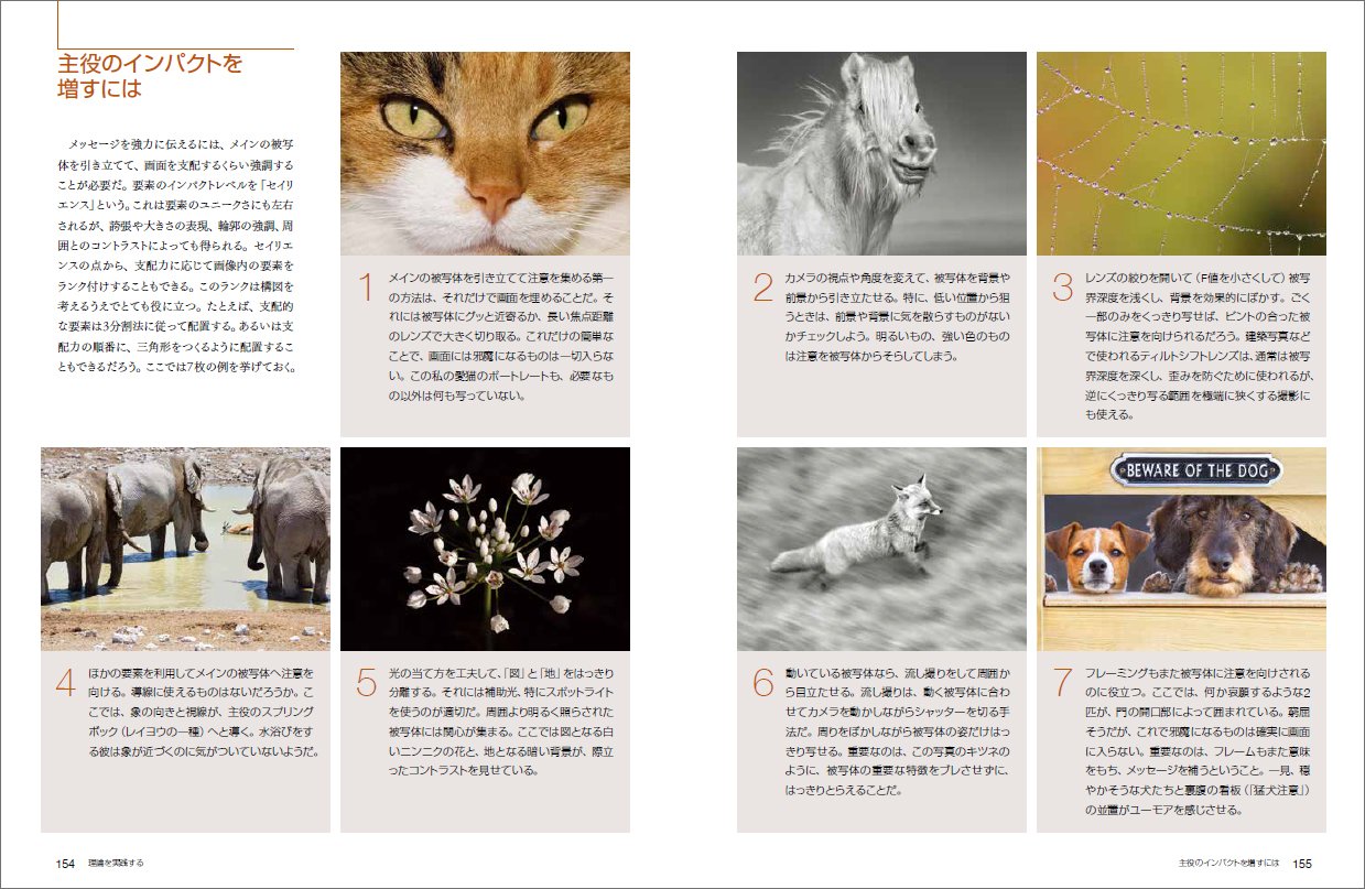 Amazon Co Jp National Geographic Pro Shooting Law Of Composition リチャード ガーベイ ウィリアムズ ナショナル ジオグラフィック 関 利枝子 武田 正紀 Japanese Books Amazon Co Jp National Geographic Pro Shooting Law Of Composition リチャード ガーベイ ウィリアムズ ナショナル ジオグラフィック 関 利枝子 武田 正紀 Japanese Books