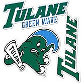 Desert Cactus Tulane University Sticker Green Wave Vinyl Decals Laptop Water Bottle Car Scrapbook T5 (Type 5-1)