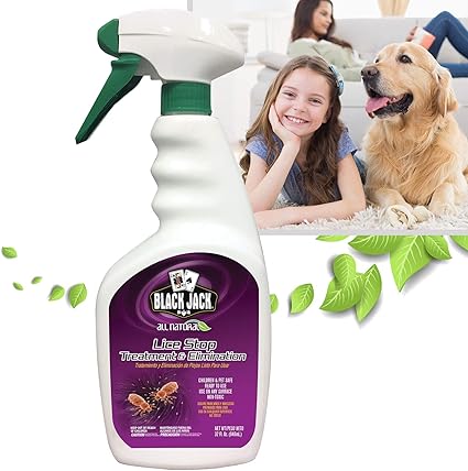 Amazon Com Black Jack All Natural Organic Lice Treatment Spray