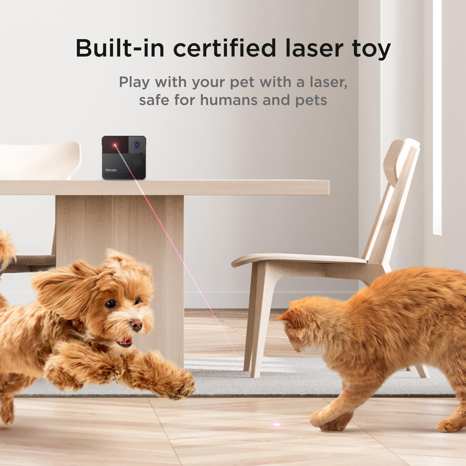 Cam with Play 2 Bundle | Play 2 Camera with Laser Toy, 1080p HD Video, Night Vision, Two-Way Audio, Sound and Motion Alerts, Cat and Dog Monitor