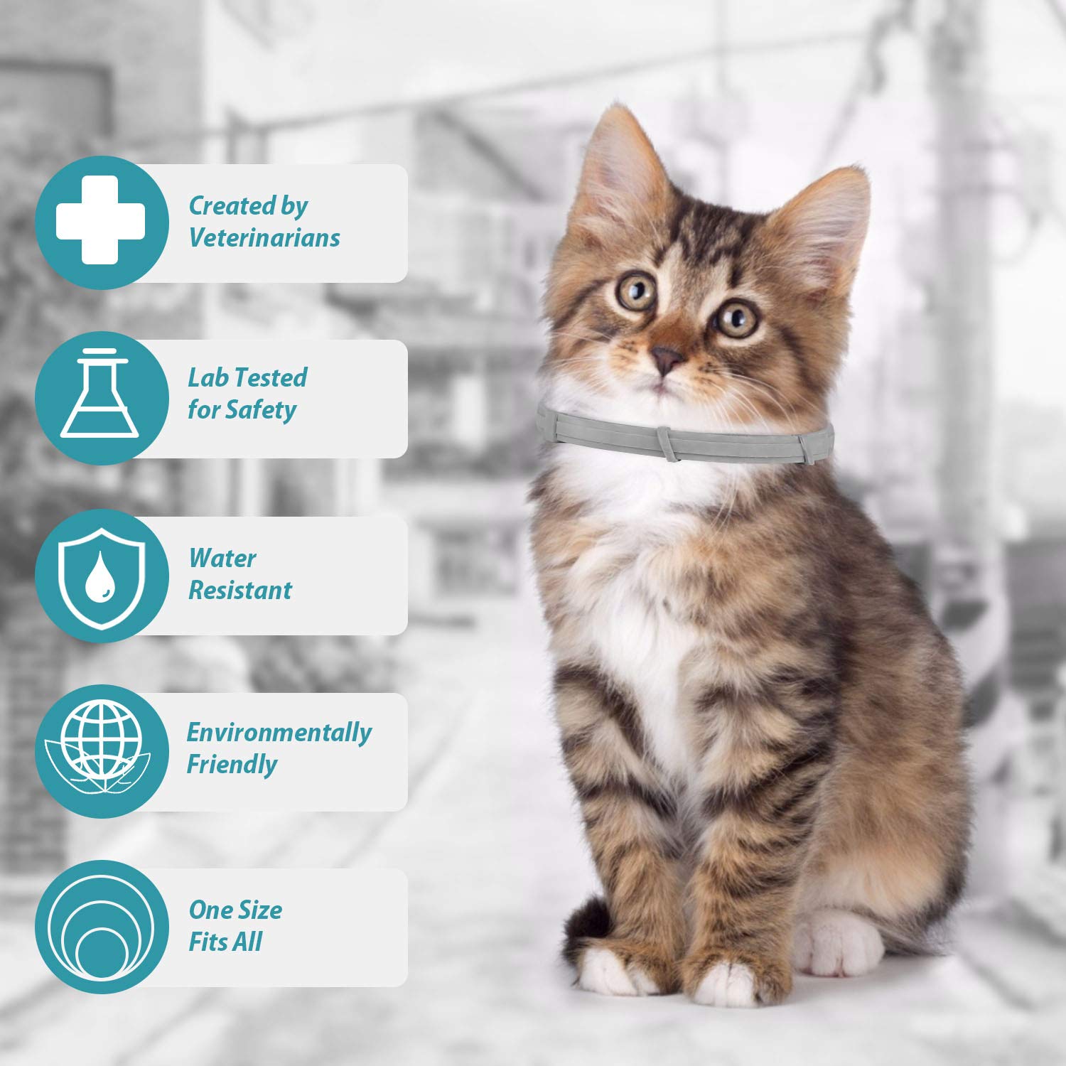 Reviews Cat Flea and Tick Collar,Flea and Tick Treatment and Prevention for Cats up to 8 Month