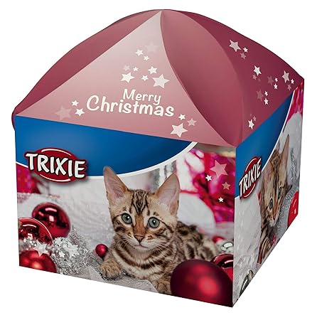 Trixie Xmas Geschenkbox, für Katzen, 5 Teile, 1er Pack (1 x 100 g)