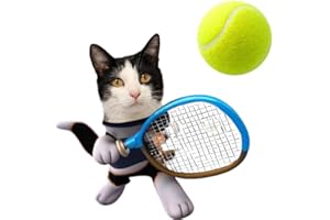 Cat Tennis Game