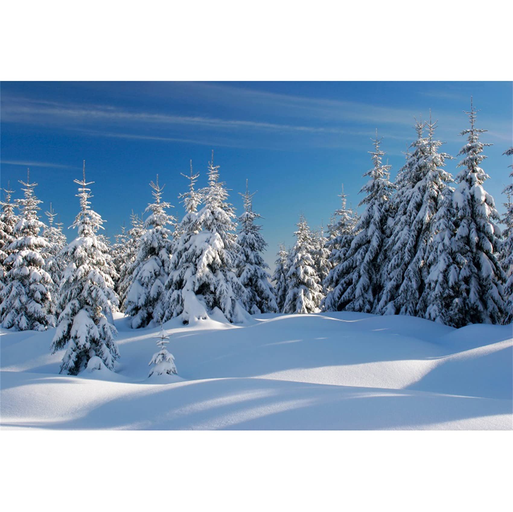 Ttincceer Winter Forest Snow Scene Backdrop 10x8ft Pine Forest Woodland Snowy Scenery Photography Background 3D Winter Season Holiday Photography Backdrop New Year Decor Banner