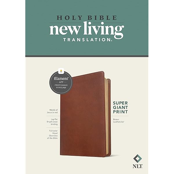 NIV, Thinline Zippered Collection Bible, Compact, Imitation
